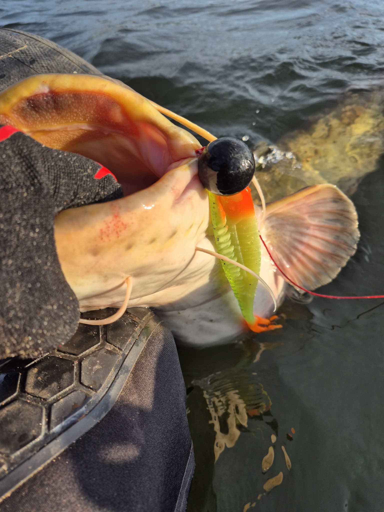 Roofbeet Jigheads Lures