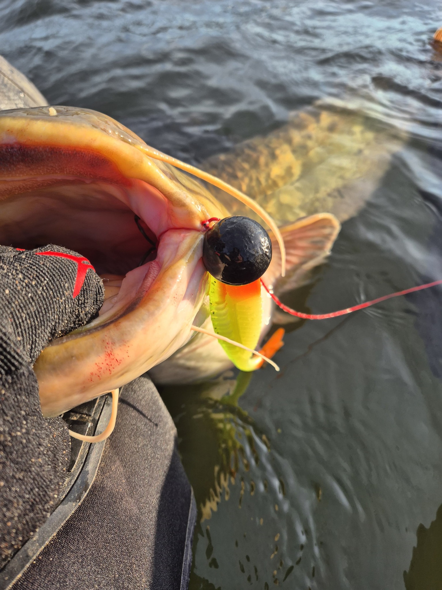 Roofbeet Jigheads Lures