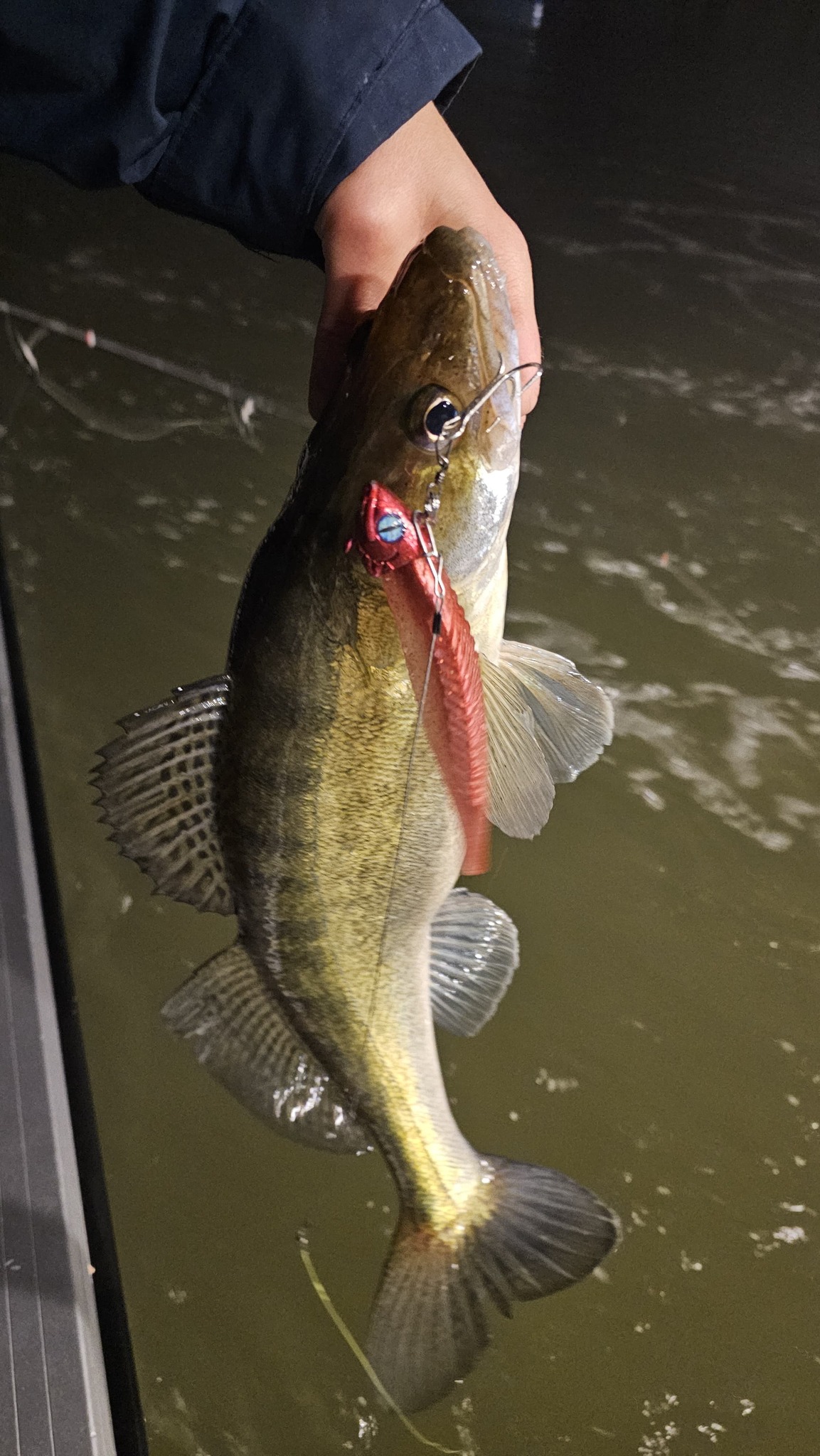 Roofbeet Jigheads Lures