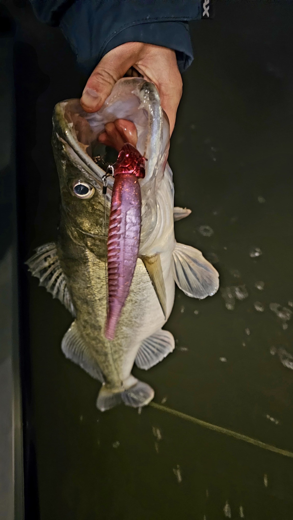Roofbeet Jigheads Lures