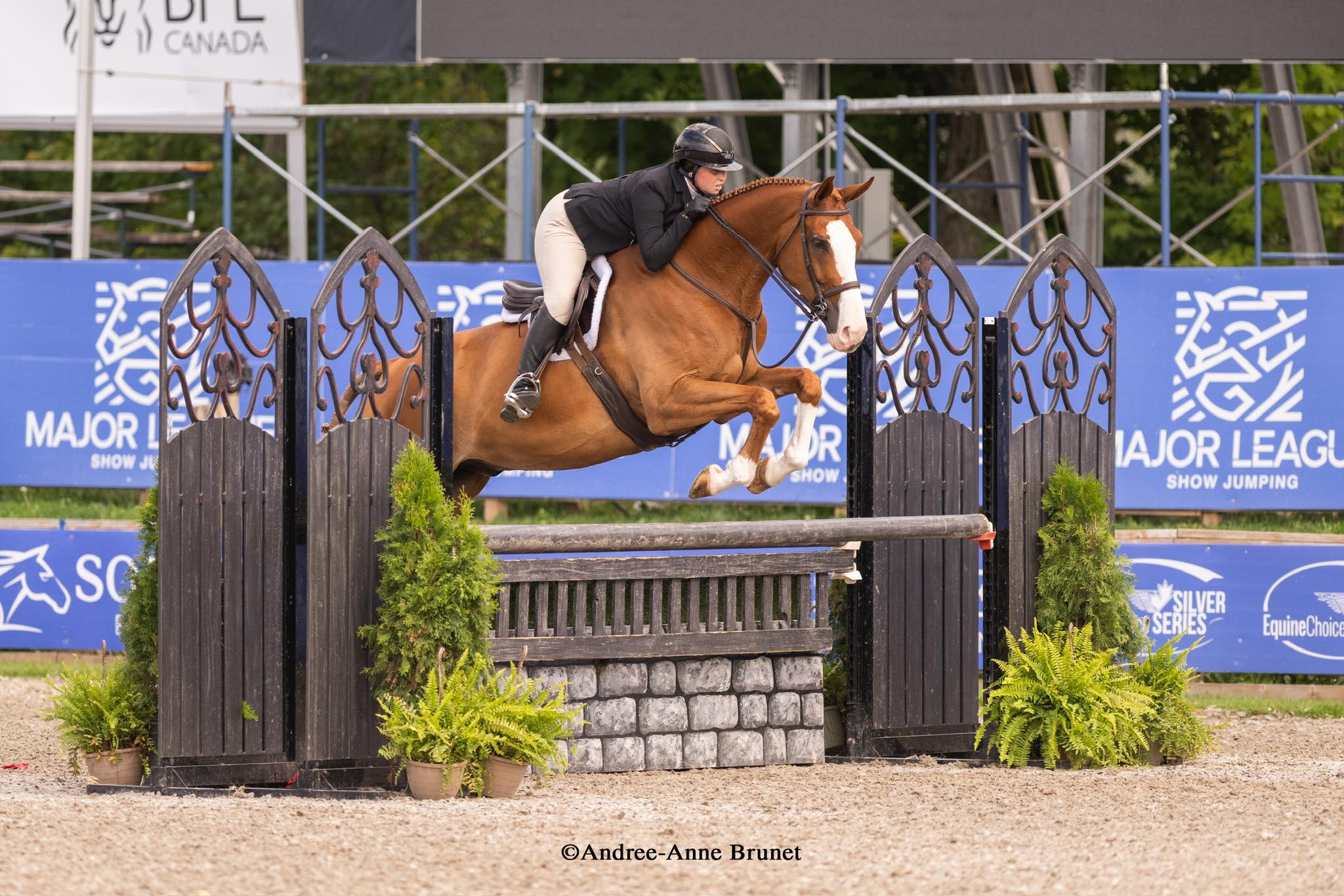 Flare Ridge Equine