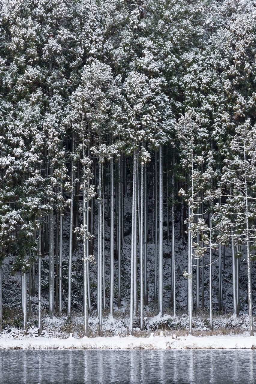 今朝の宇陀市は一面の雪景色 迷わず龍王ケ淵へ 榛原戒場への坂道を