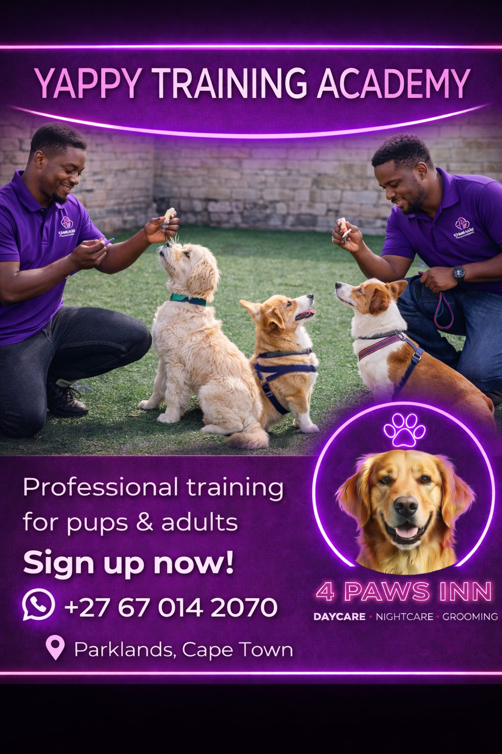 The 4 Paws Inn | Cape Town