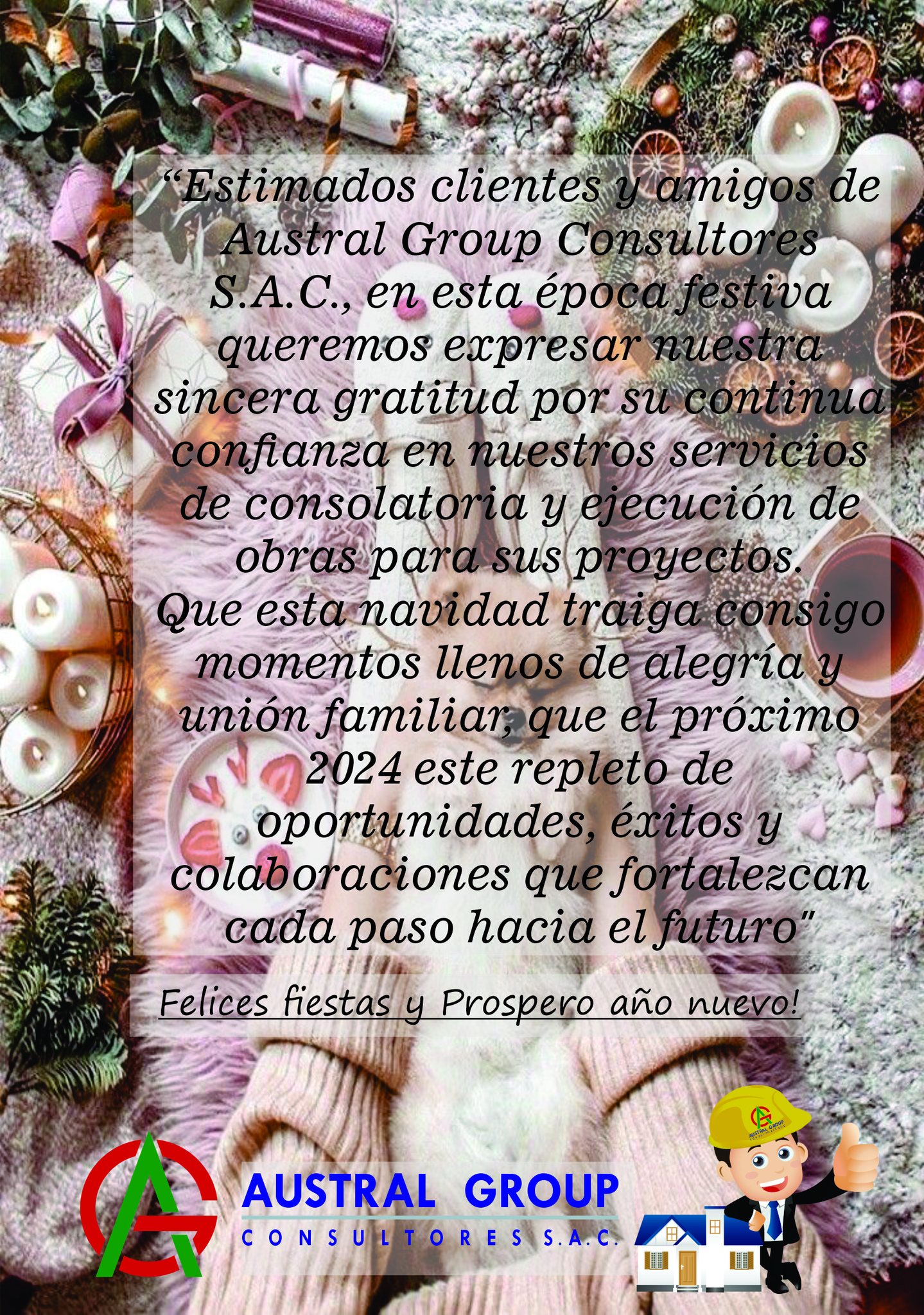 Austral Group Consultores y Ejecutores SAC | Puno