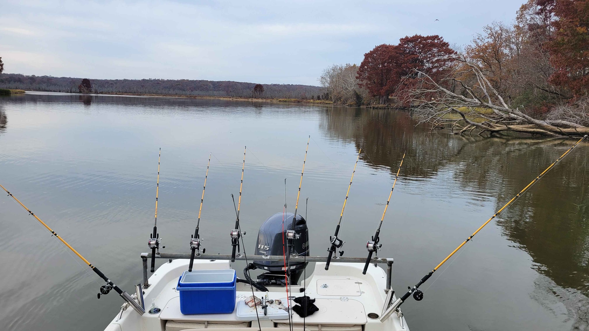 Catfish Rod Holder/Rack - Fishing - King George, Virginia | Facebook ...