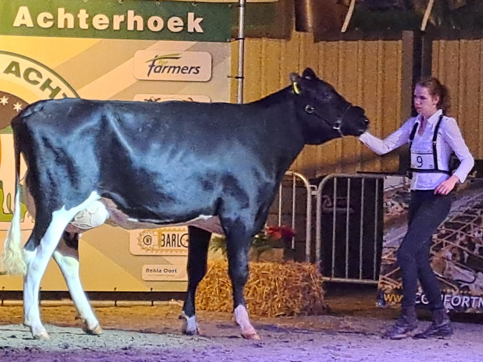 Melkveehouderij 't... - Melkveehouderij 't Hallerdijk