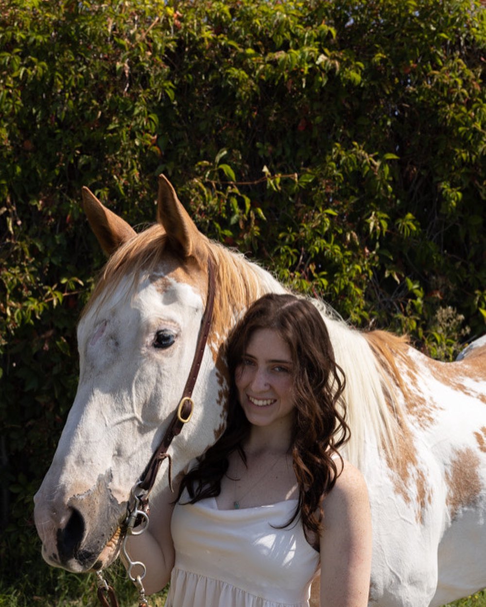Oregon... - Oregon State University Equestrian Drill Team