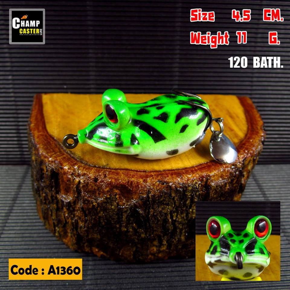 Champ Caster - 🌴กบบิ๊กอาย ตูดจม ตาปริ่มน้ำ🐠🐠...
