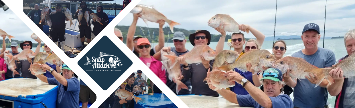 Snapper... - Snapper Fishing Charters on-board 