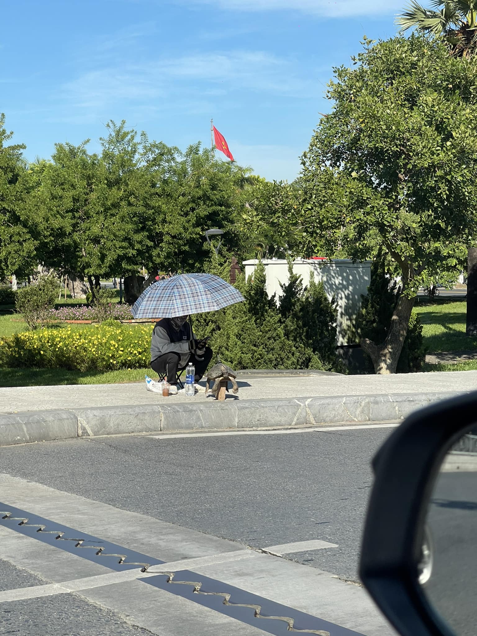 Đà Nẵng - Con rùa kê trên cục gạch như ri để làm chi hè...