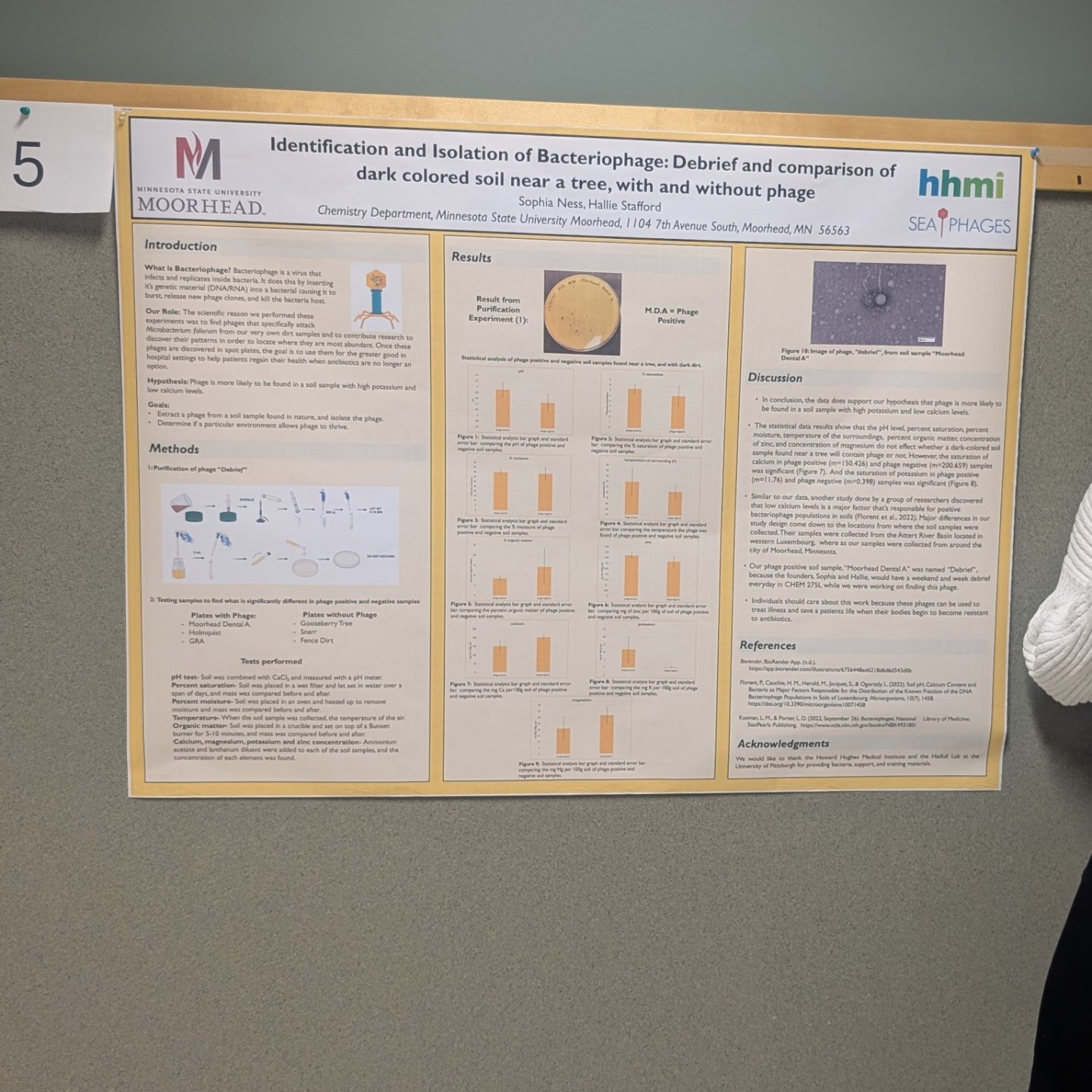 MSUM Honors Program