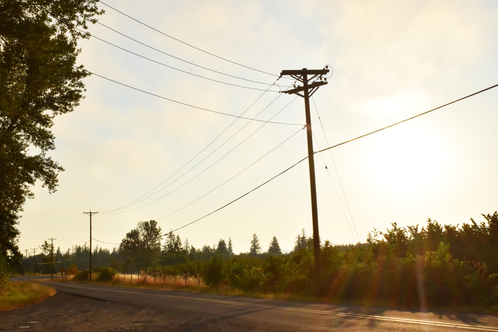Emerald People's Utility District | Eugene OR