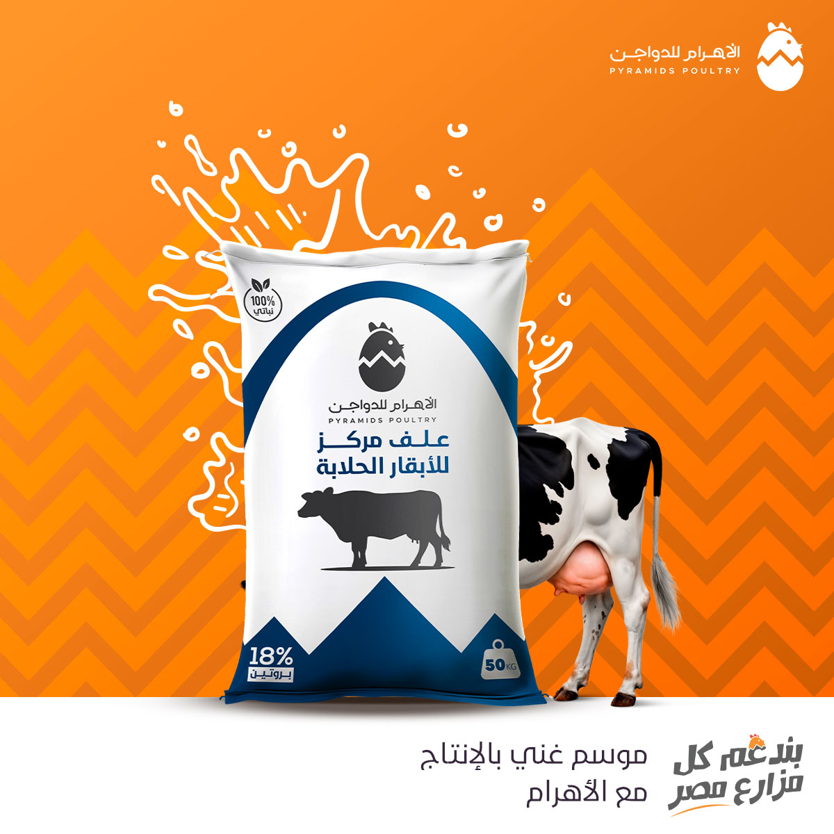 ‎الاهرام للدواجن -... - الاهرام للدواجن - Pyramids Poultry