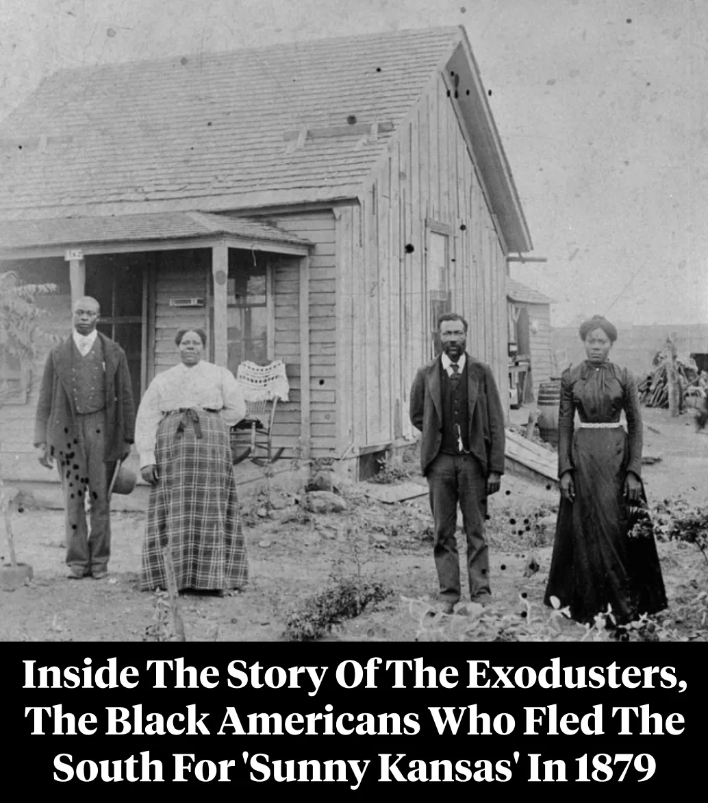 After the Civil War, Reconstruction... - History Revealed | Facebook