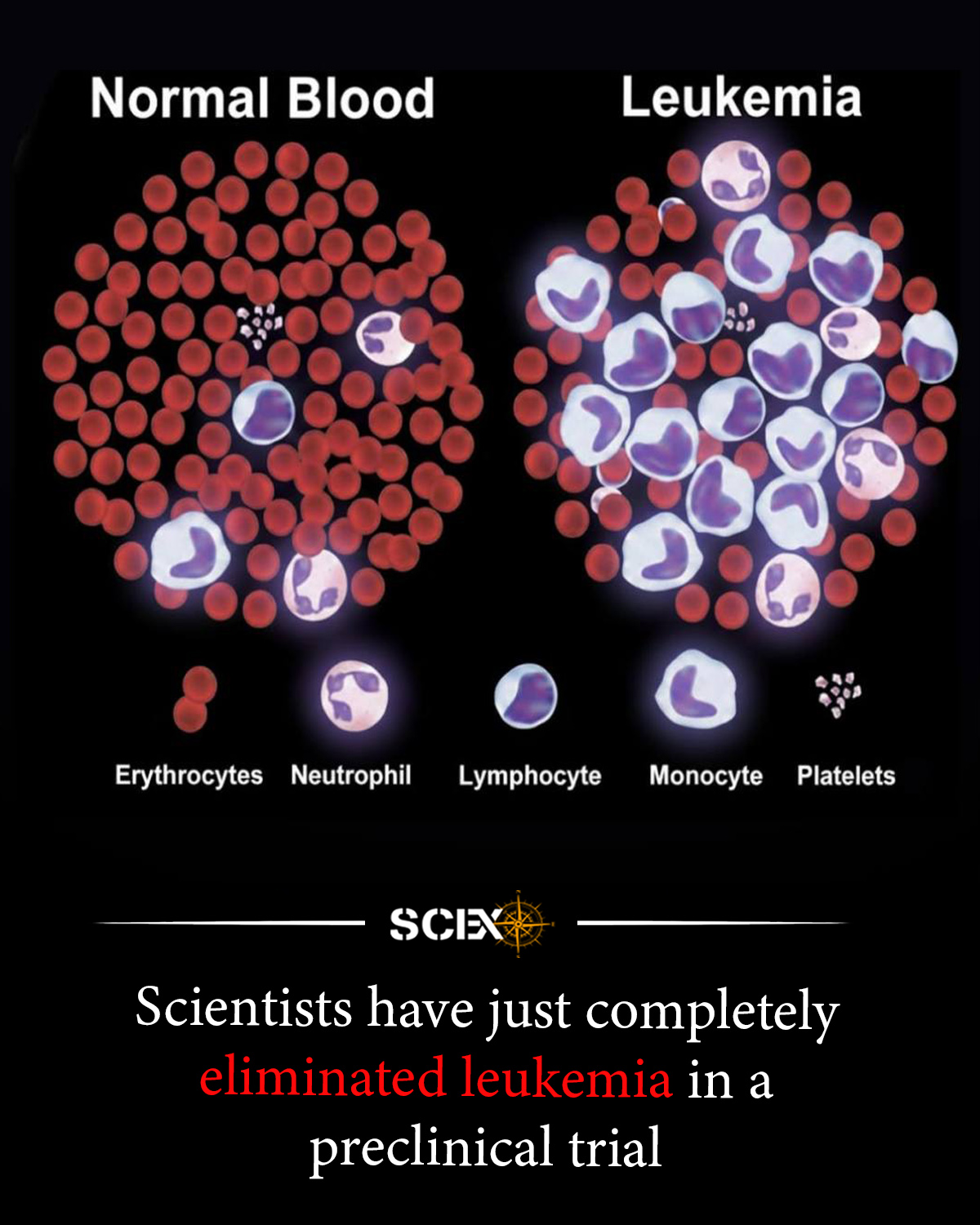 Curated visual reference: Multitasking And Creativity Research Studies Reference: Science Are You Always Running Late Science Says It Might