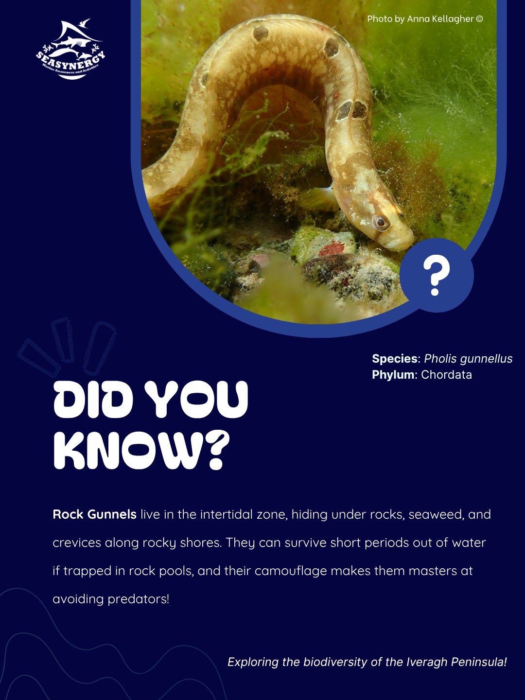 🐟 Biodiversity Monday! 🌊 The... - LH Marine & Sea Synergy | Facebook