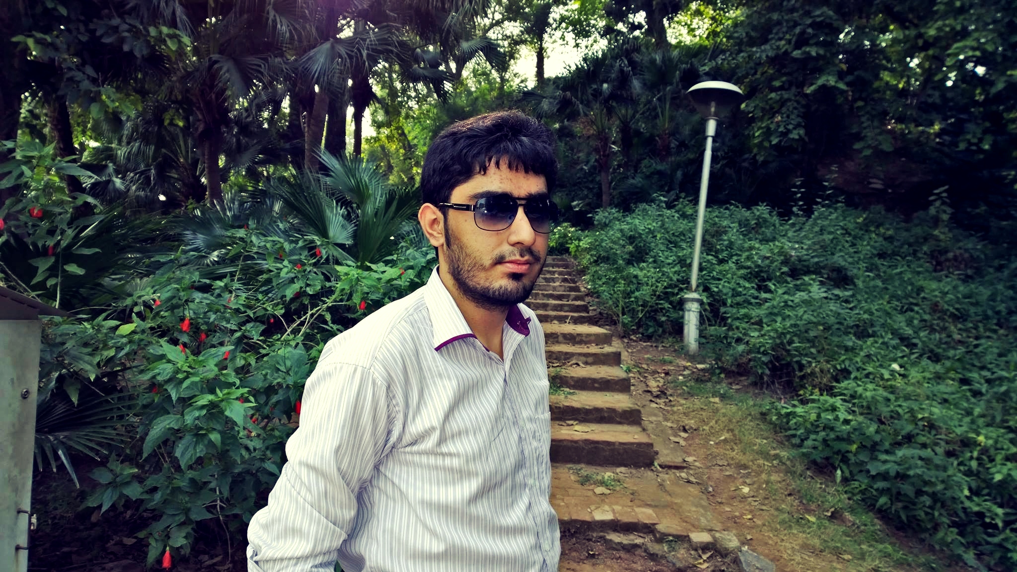 Hamza Rafique