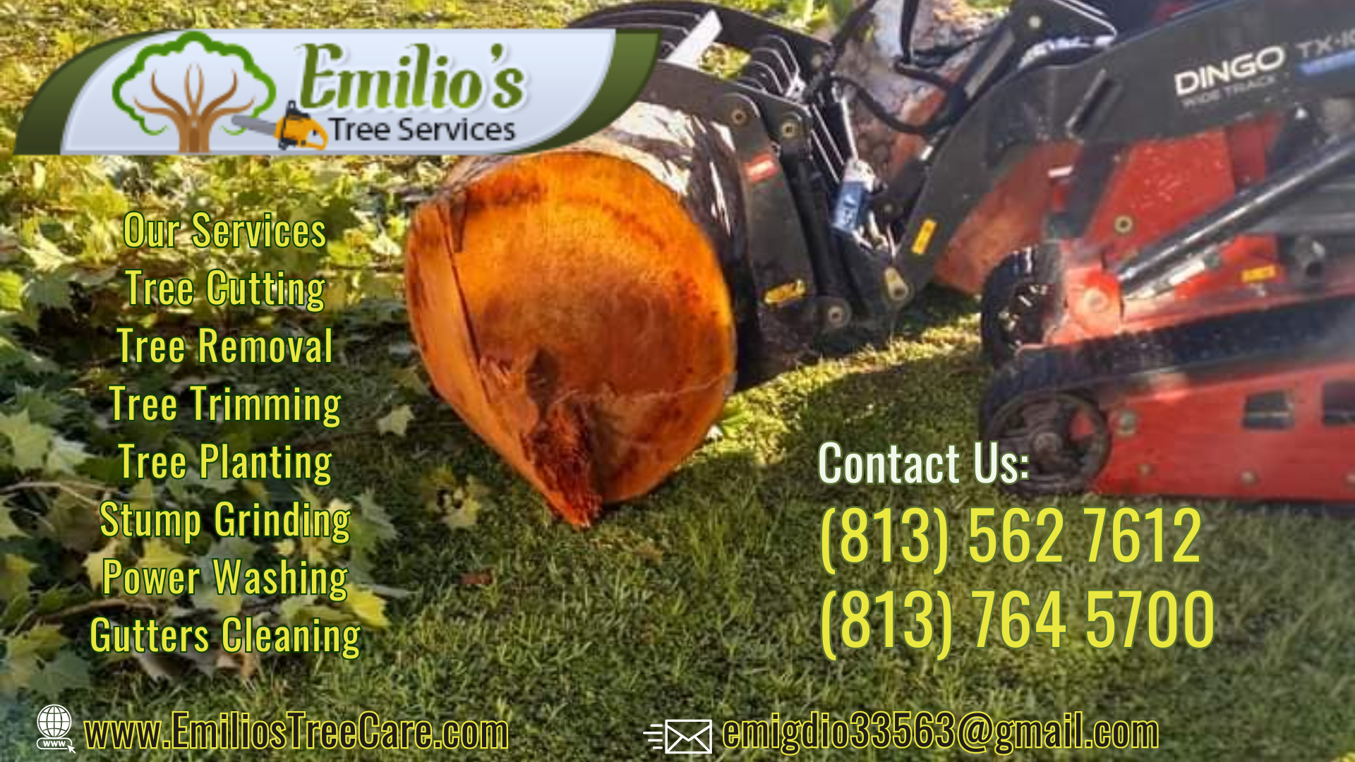 Emilio's TREE Service | Plant City FL