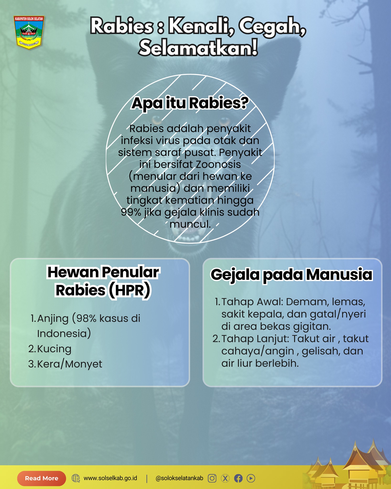 ⚠️ Waspada Rabies! 🐕🐈... - Pemerintah Kabupaten Solok Selatan | Facebook