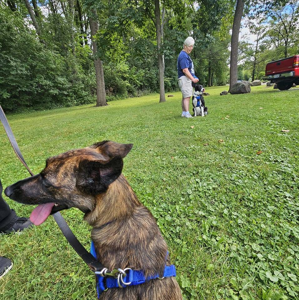 Ruff Pups | Reedsburg WI