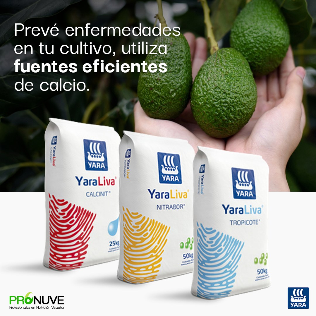 PRONUVE - PRONUVETIP 🌱 Recuerda que al aplicar NITRATO DE CALCIO, que ...