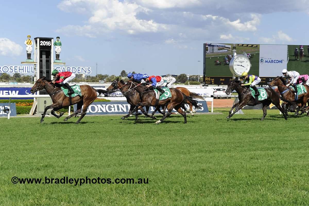 Ron Quinton Racing Stables | Randwick NSW