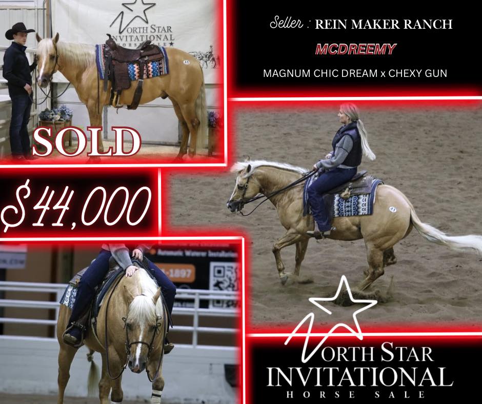 North Star Invitational Horse Sale