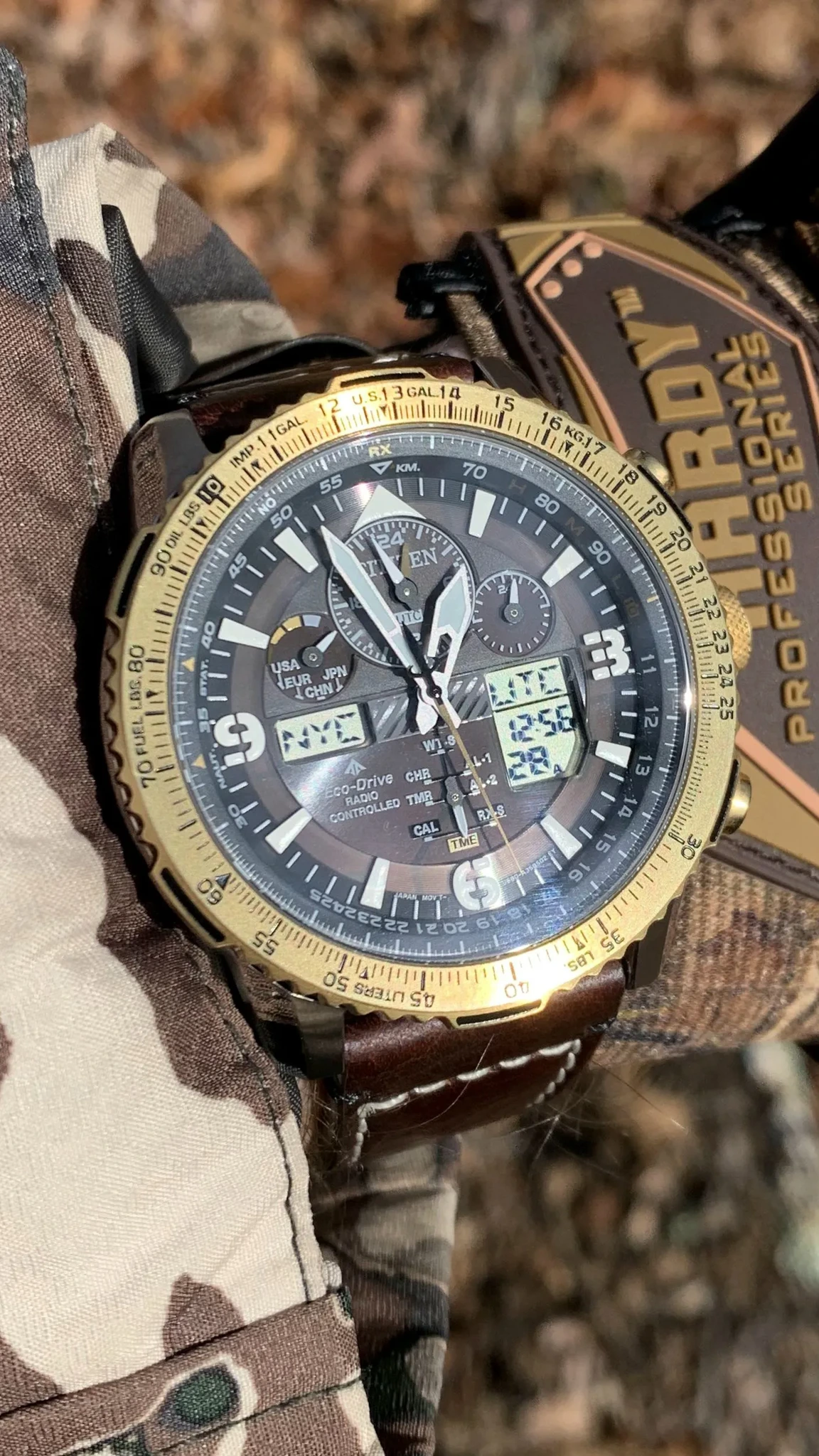 Citizen Promaster C300 