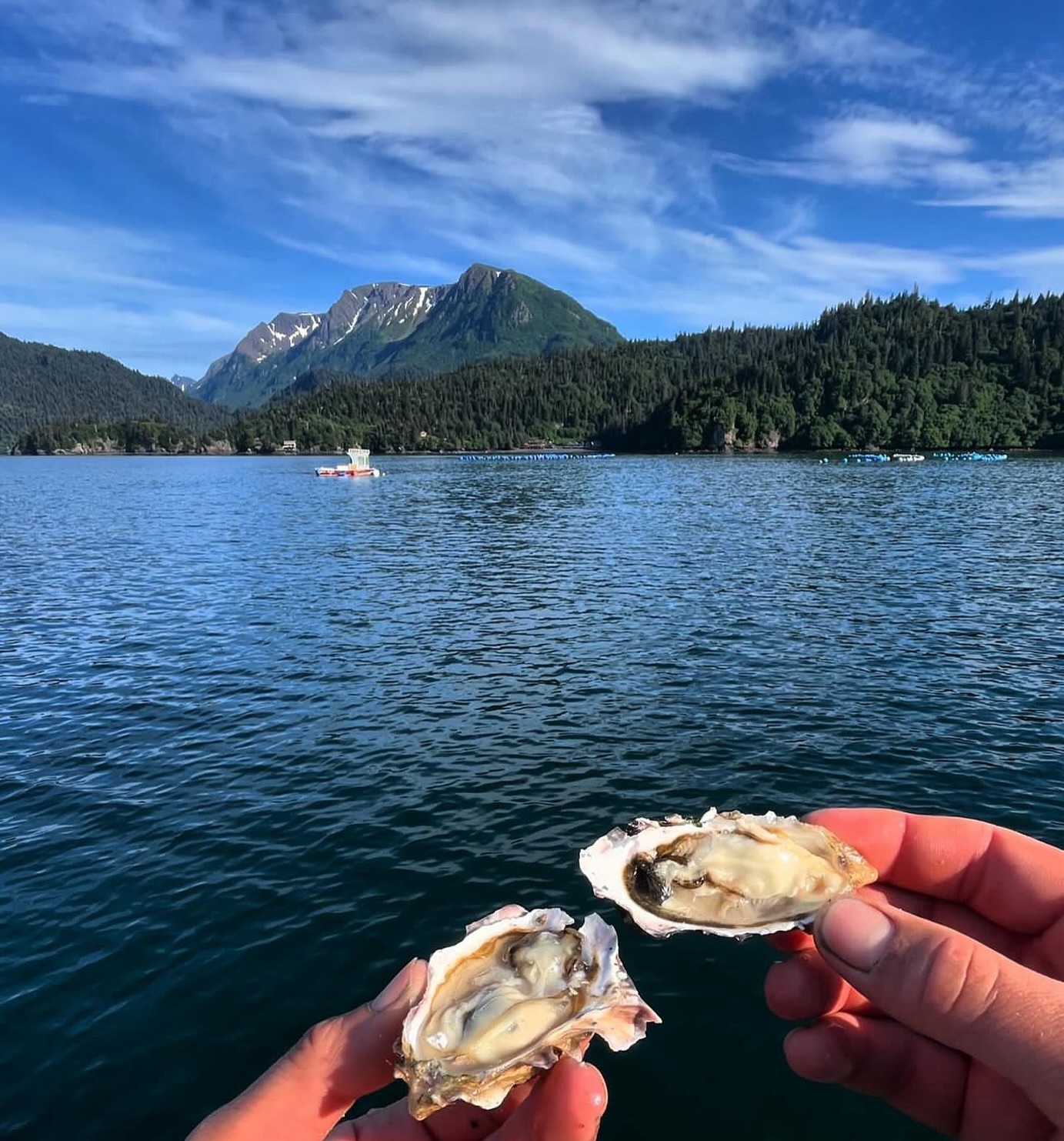 Alaska Shellfish Farms | Halibut Cove AK