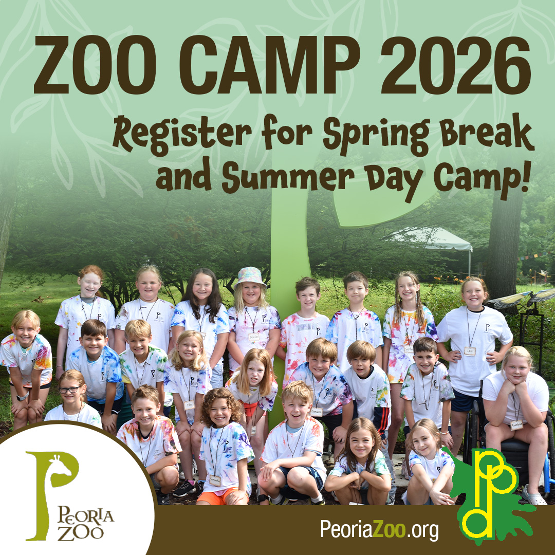 Peoria Zoo - 📢🐯🦁 Zoo Camp 2026: Spring Break Camp & Summer... | Facebook