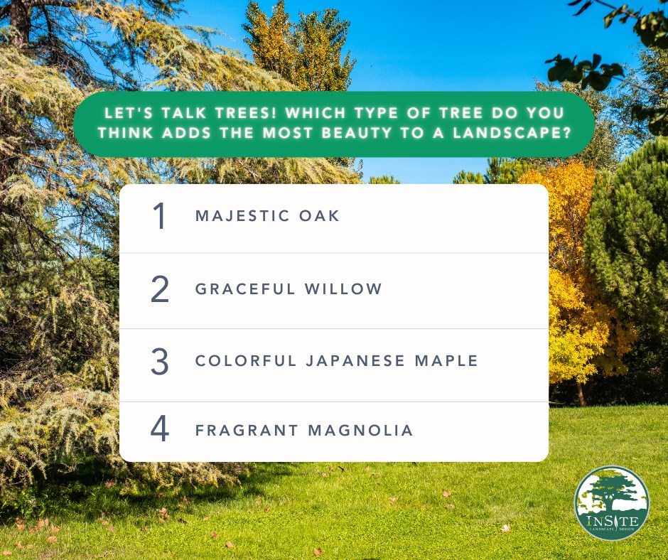 🌳 Let's talk trees! Which type... - InSite Landscape Design