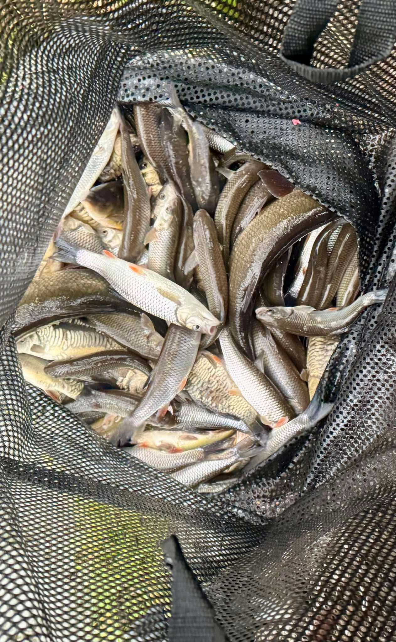 The weather might be wet and the... - Matlock Angling Club | Facebook