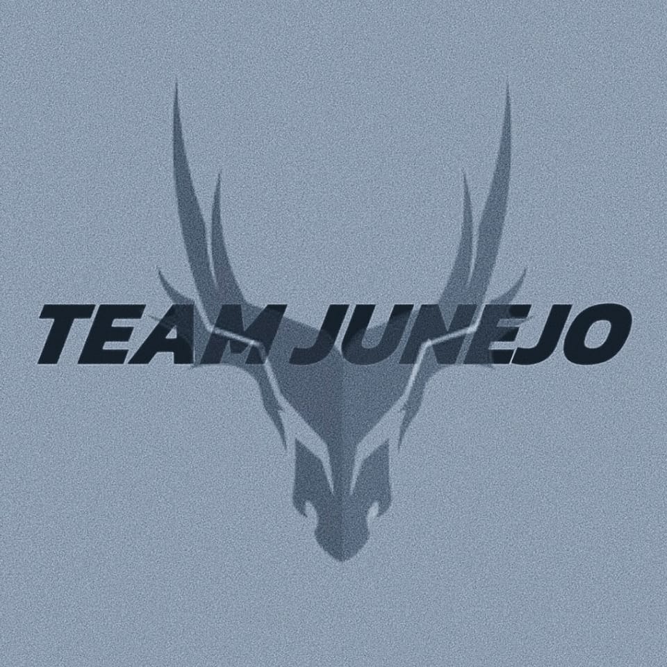 Team Junejo