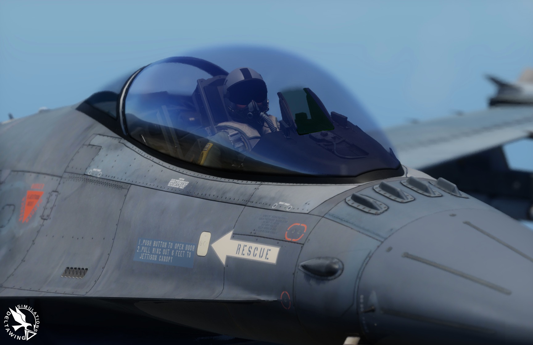 Deltawing Simulations