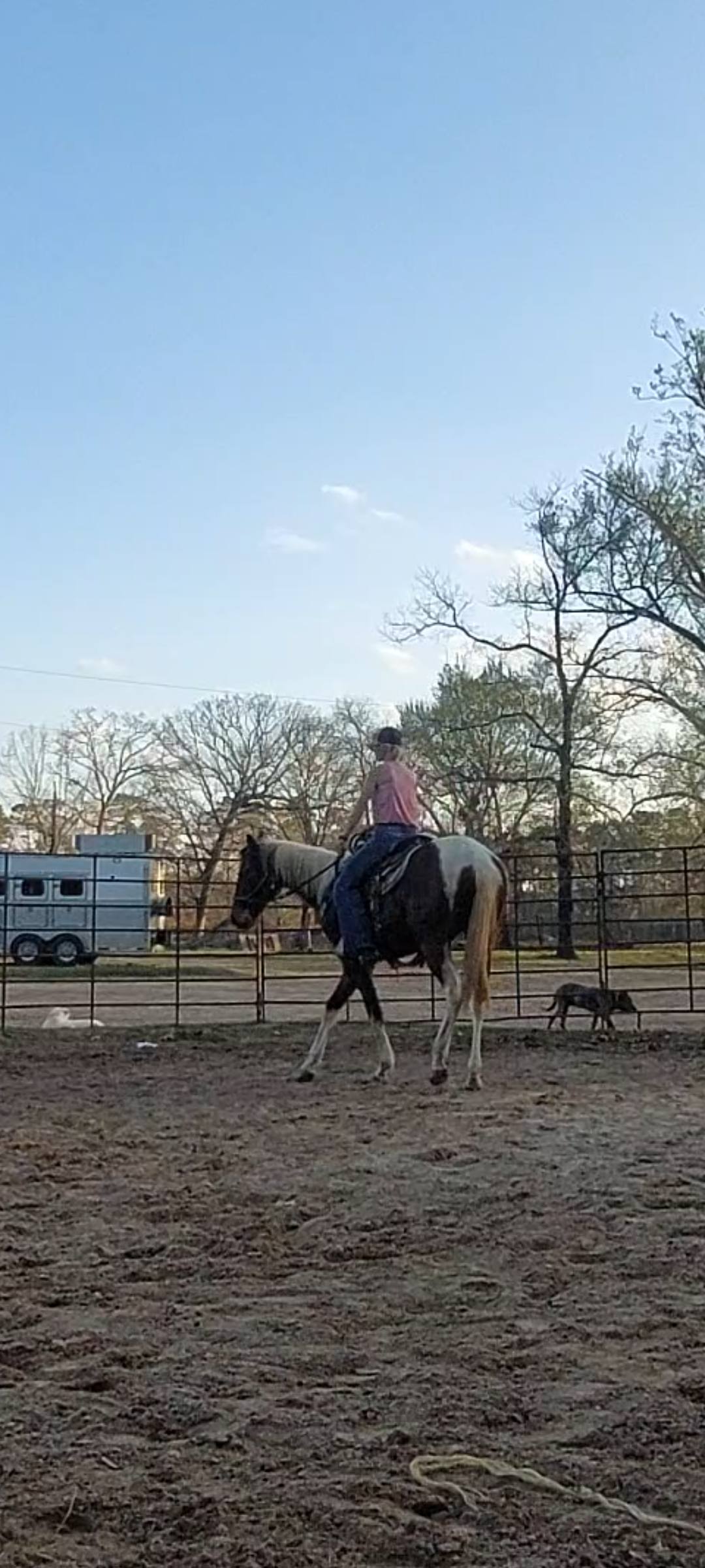 Triple V Ranch Performance Horses | Coldspring TX