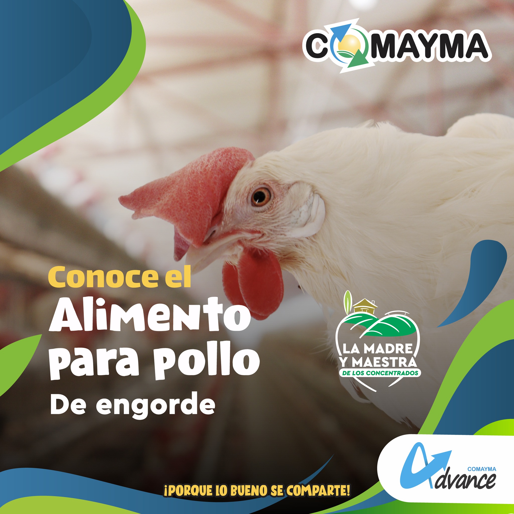 🐔 Conoce las soluciones... - Cooperativa Madre y Maestra R.L.