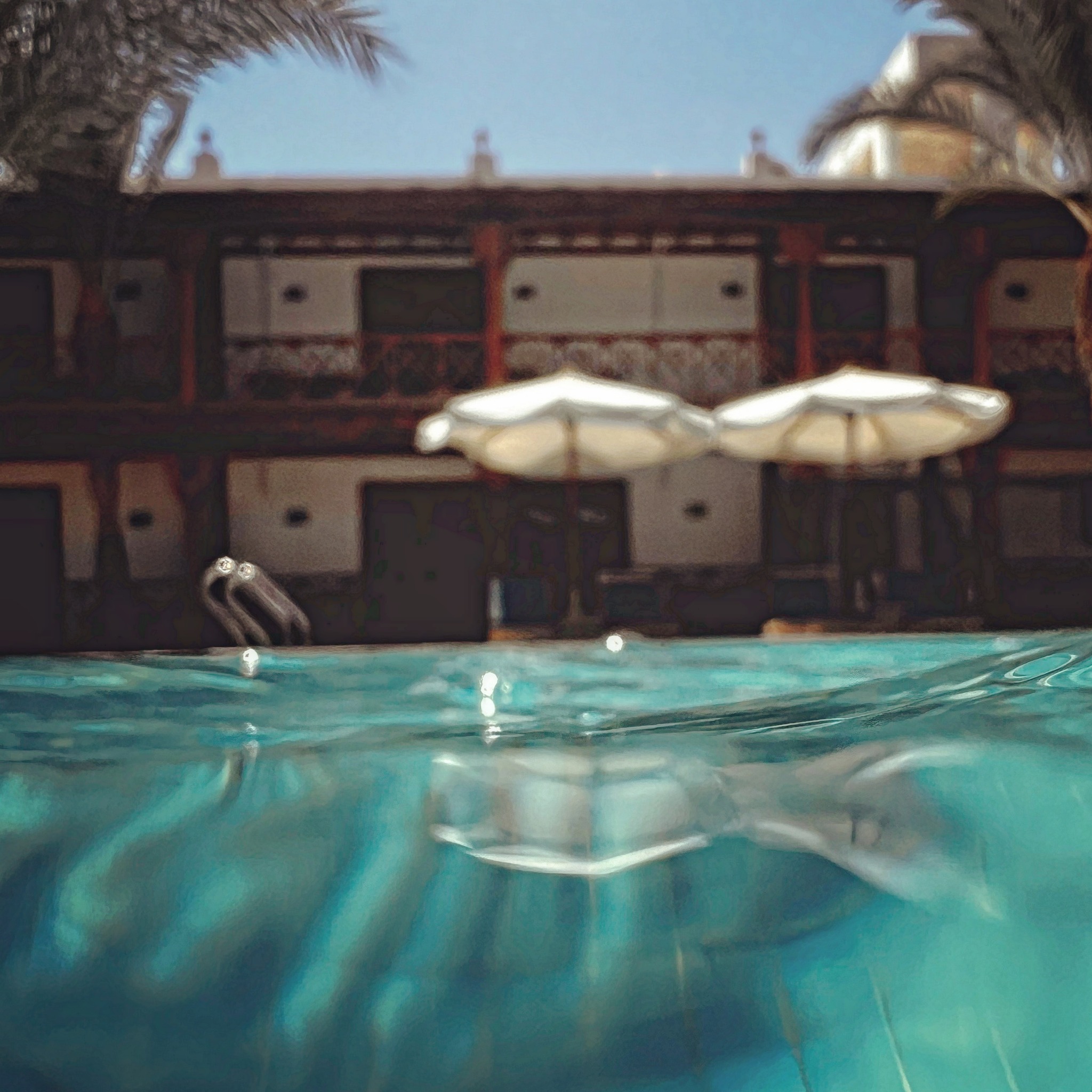Acacia - Summer is at the doors 😌🪷😌 “Escape to paradise, where every ...