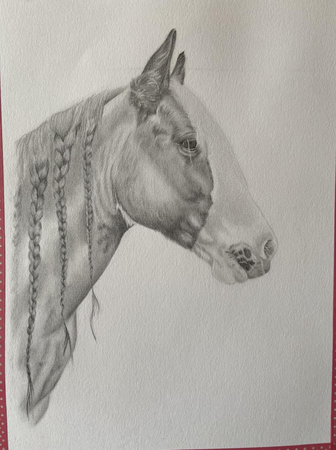 Anna's Pet Portraits
