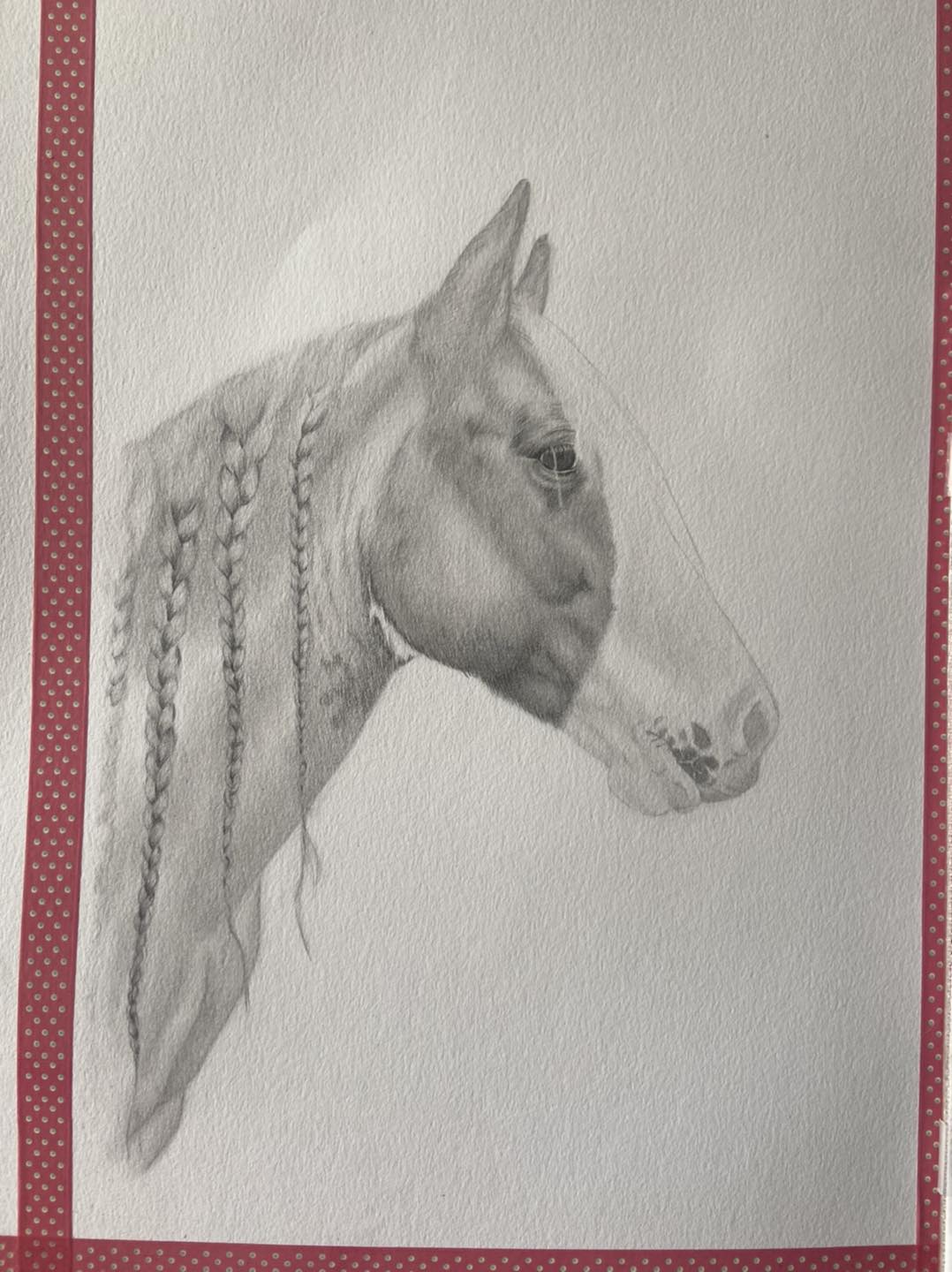 Anna's Pet Portraits