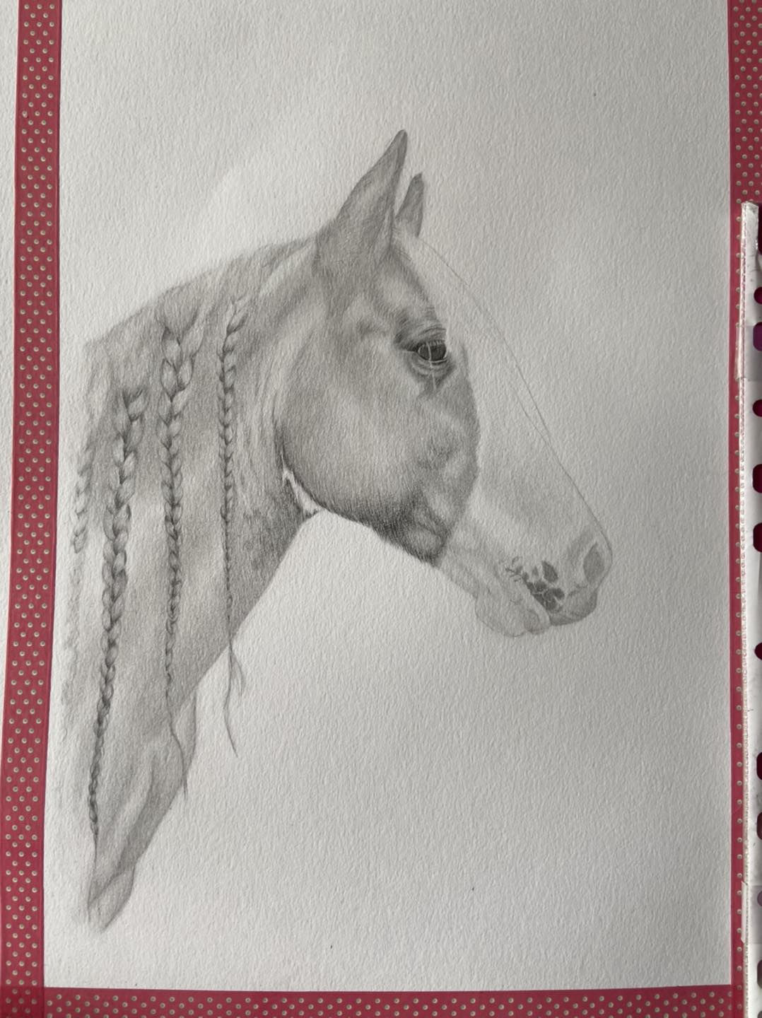 Anna's Pet Portraits