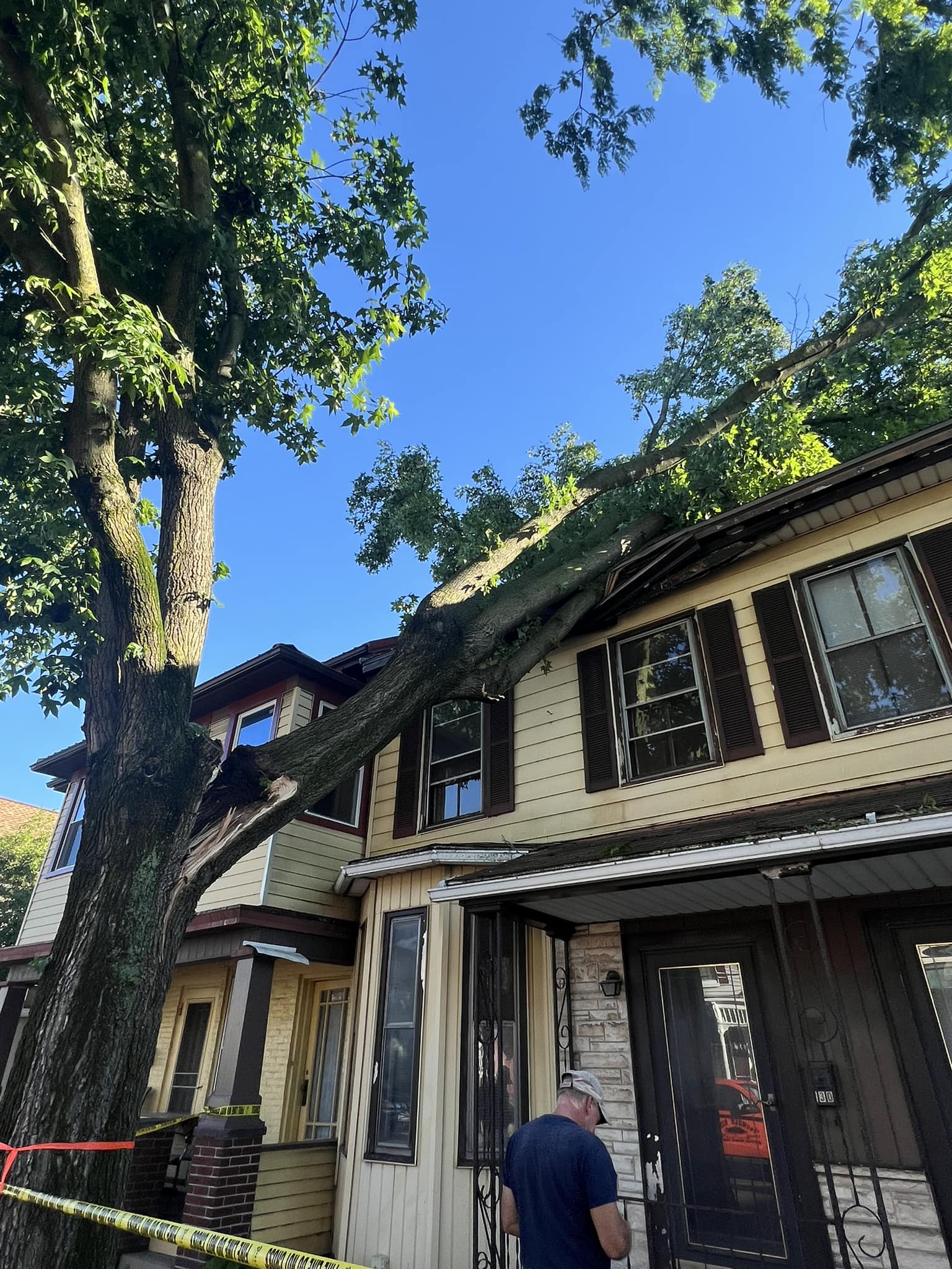 Did you wake up to a tree on... - Thunder Ridge Tree Service