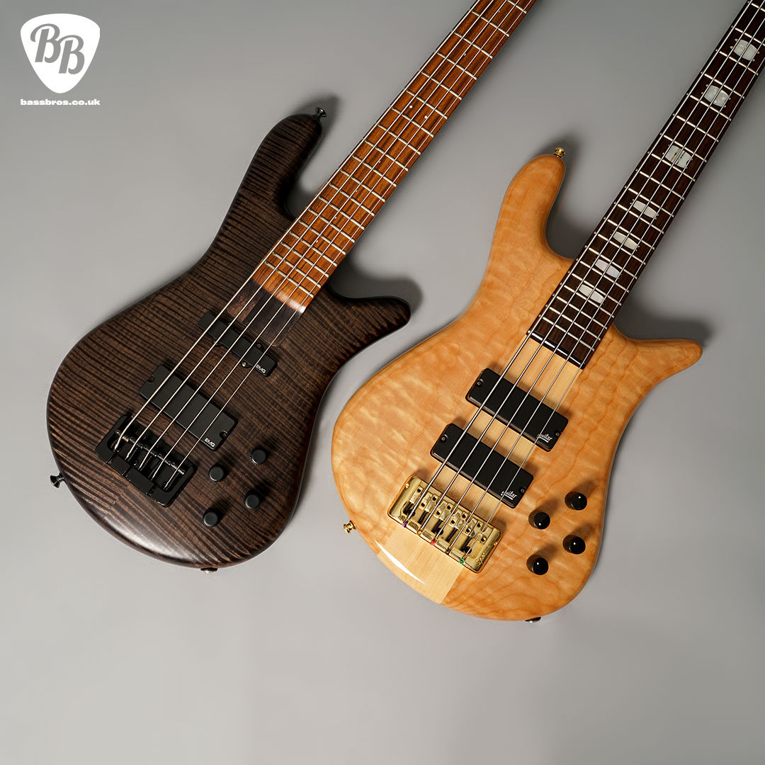 Spector Euro and Warwick Streamer 5-string basses