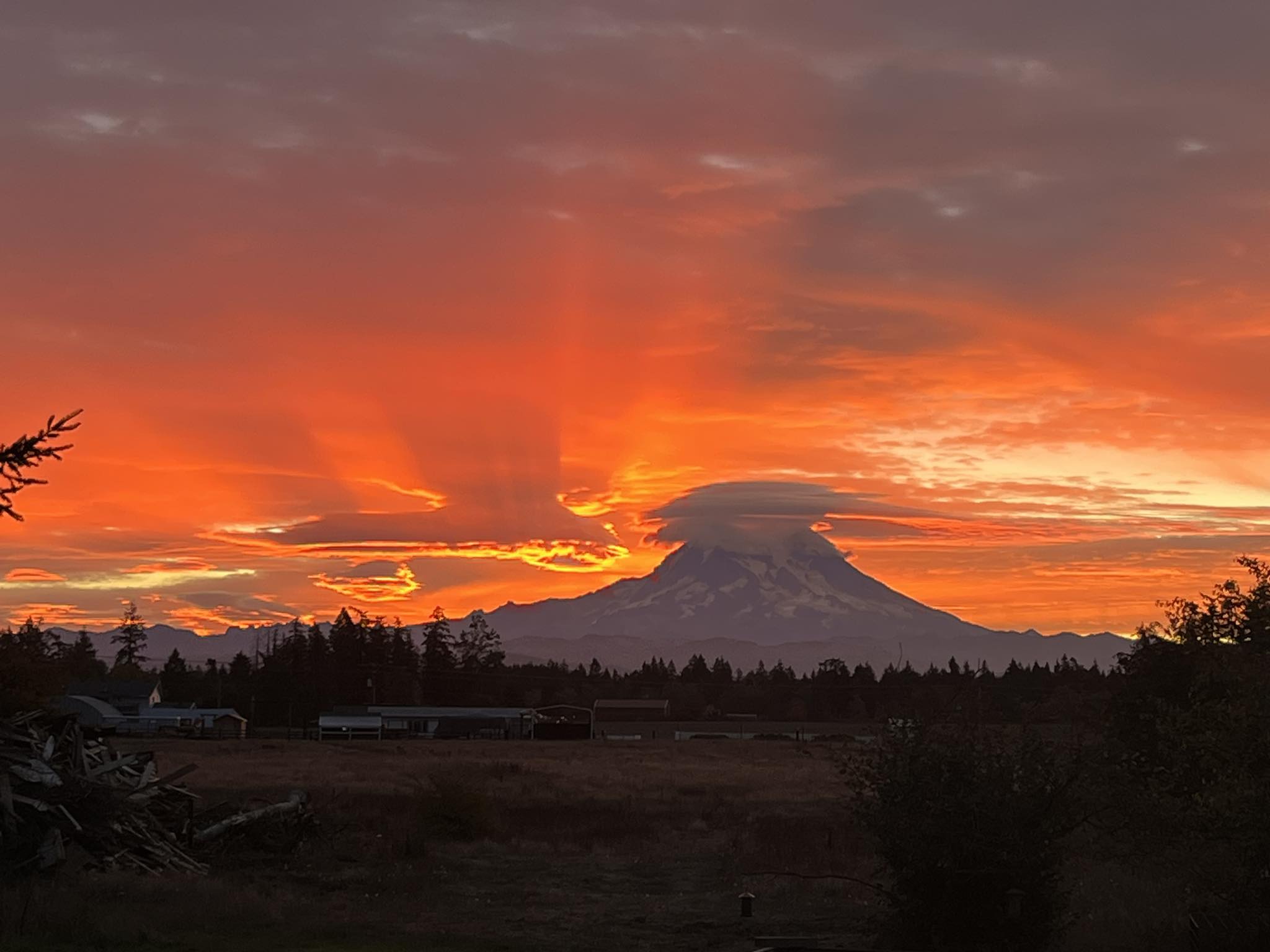 Green Branch Ranch & Farm Store | Yelm WA