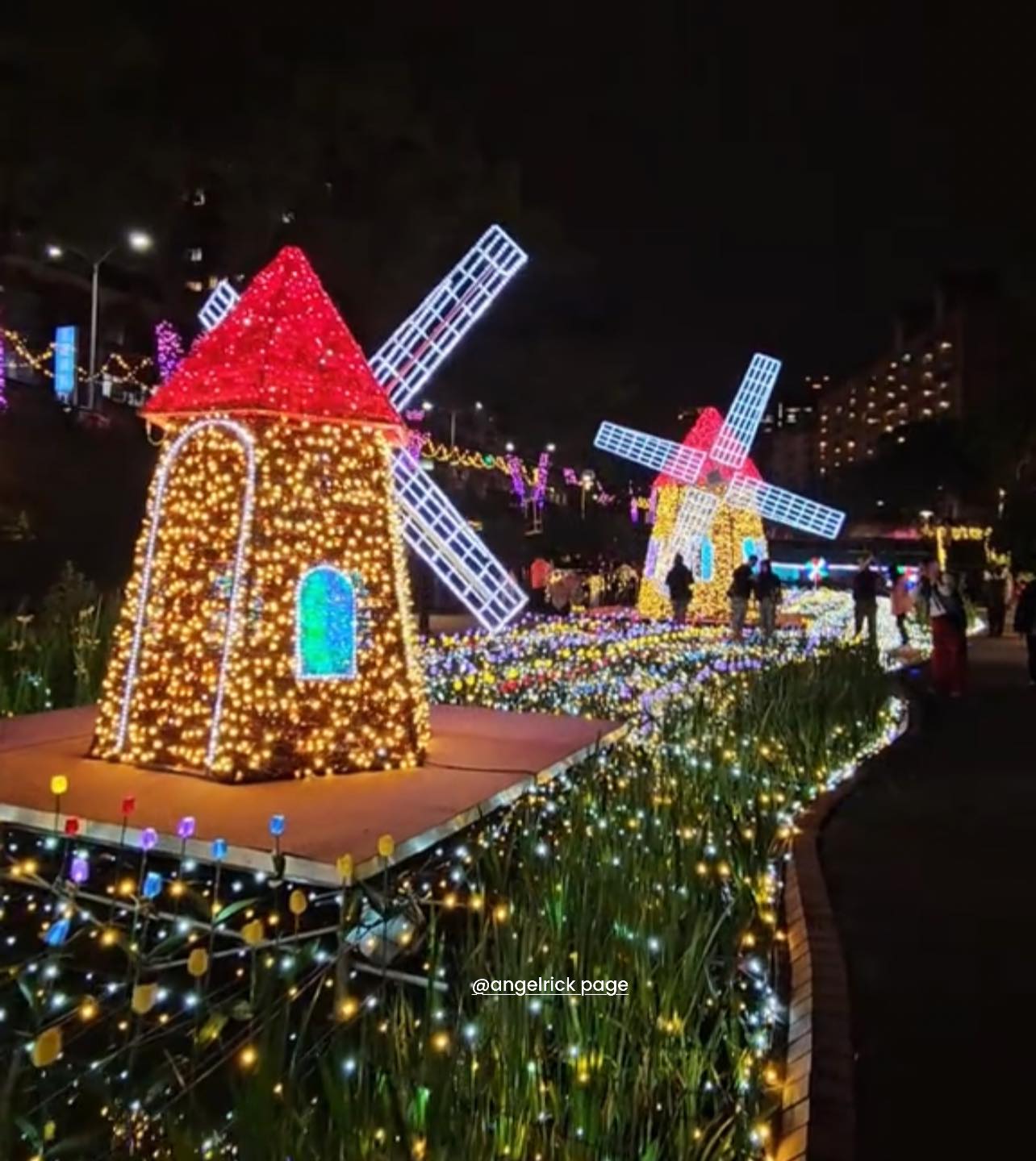 Magical Night in New Taipei City 🪄💫✨ 2026 Light Sculpture