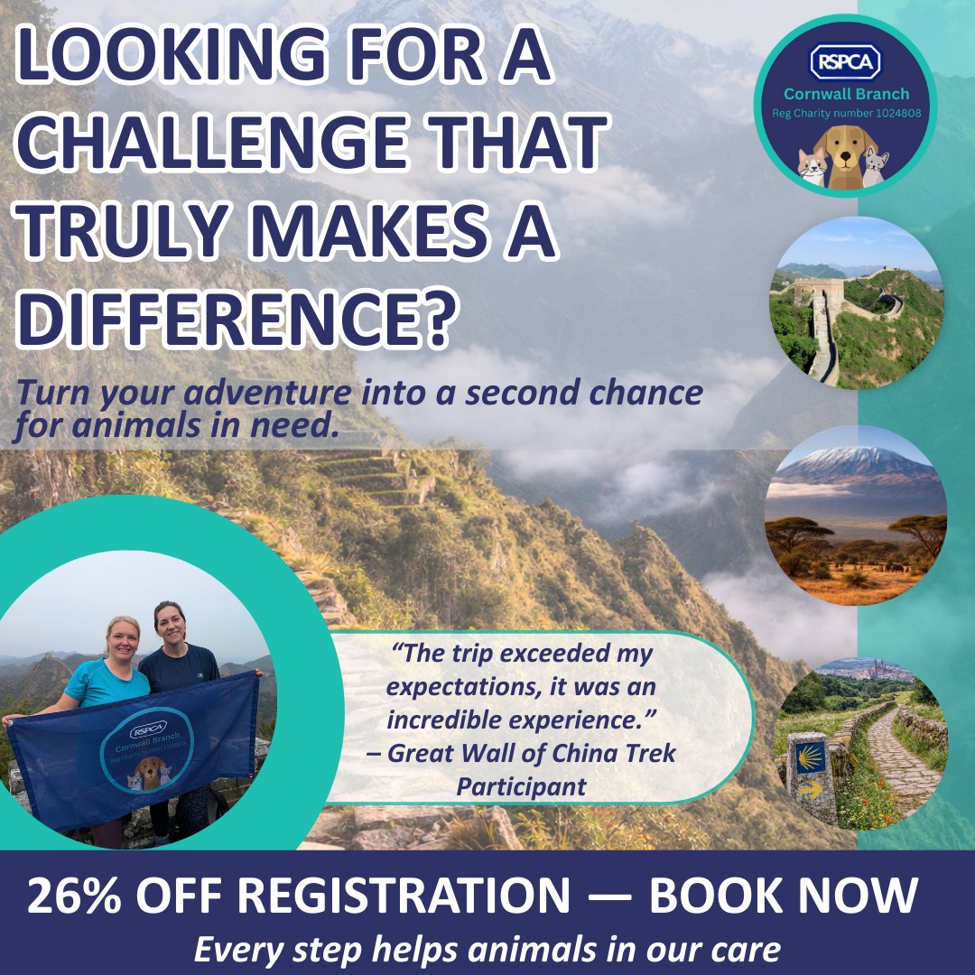Rspca - Try January – Try Something New in 2026! It’s Try January ...