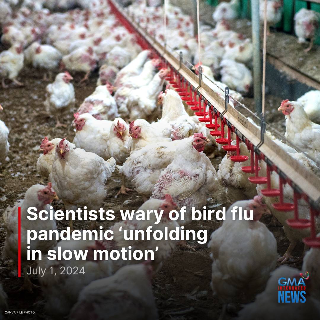 GMA - Scientists tracking the spread of bird flu are increasingly ...