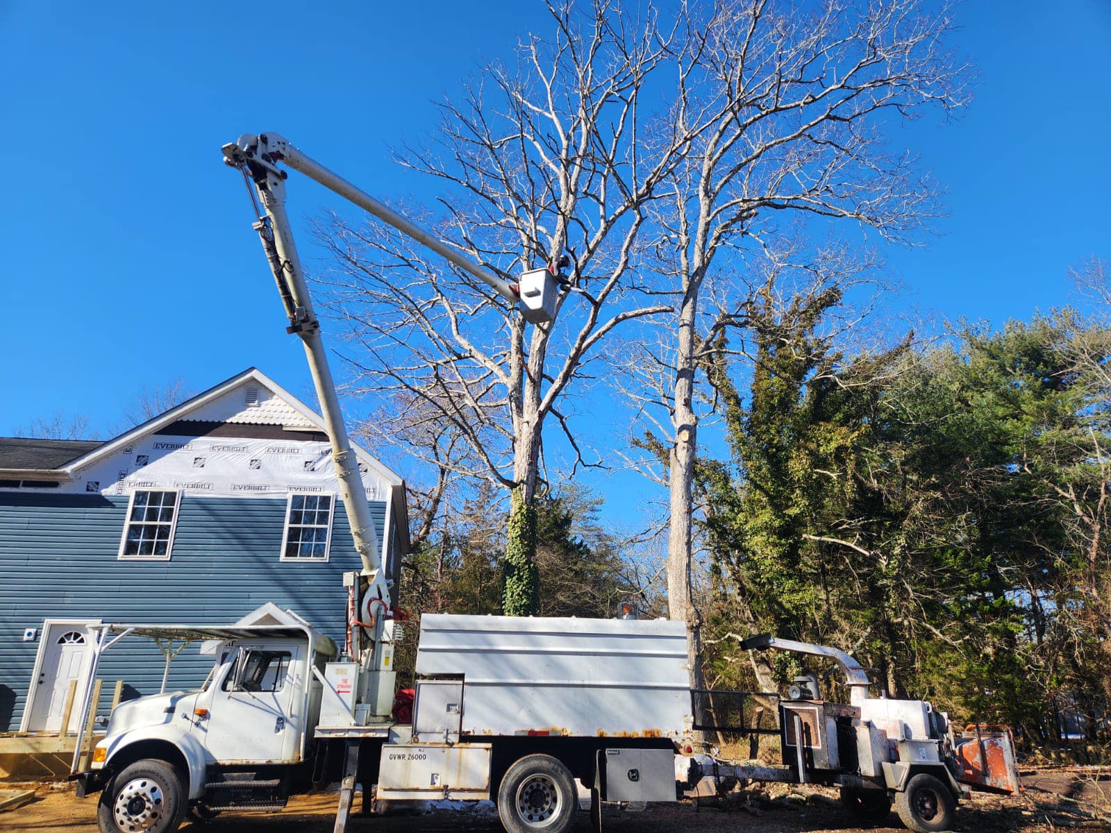Uprooting Tree Service added a... - Uprooting Tree Service
