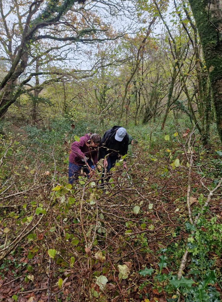 Truro's Countryside Rangers... - Truro's Countryside Rangers