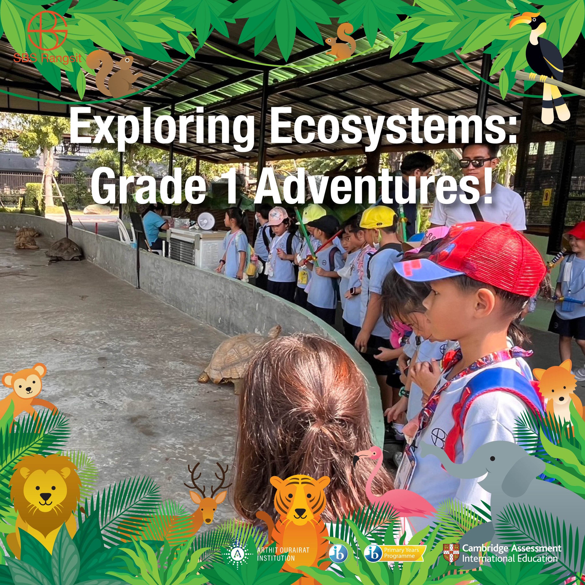 SBS Rangsit - 🔍🦁Exploring Ecosystems: Grade 1 Adventures!...