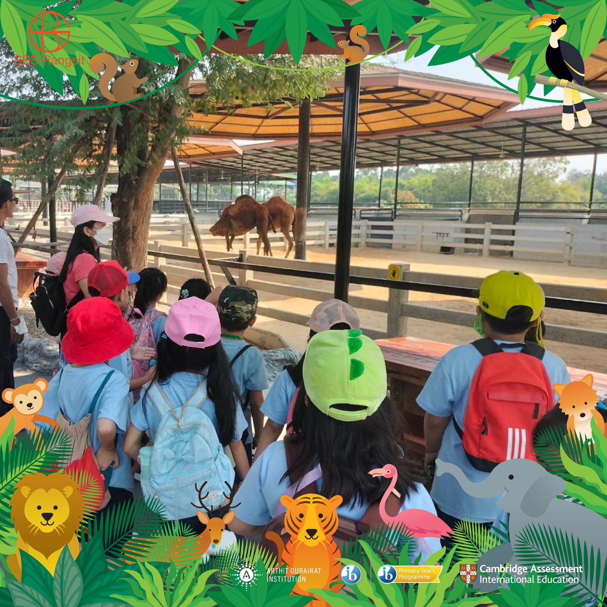SBS Rangsit - 🔍🦁Exploring Ecosystems: Grade 1 Adventures!...